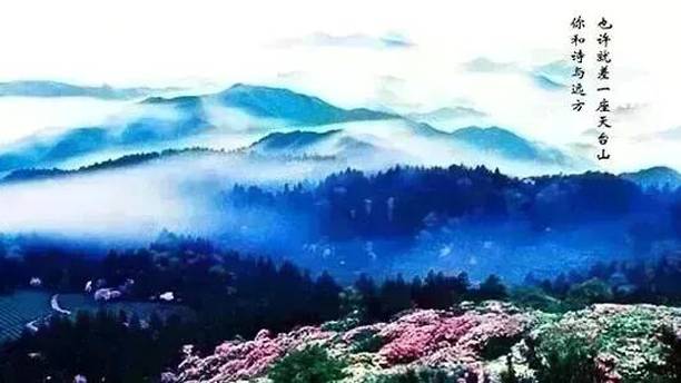 出名了！天台这家茶企！