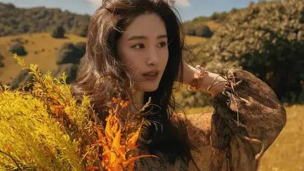 杨采钰生日写真氛围感十足，身携野花漫步金色草甸