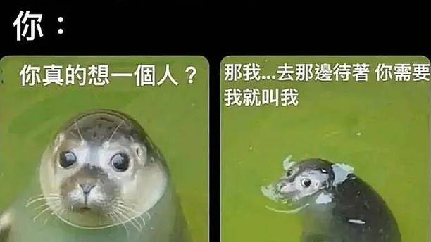 你走一个试试