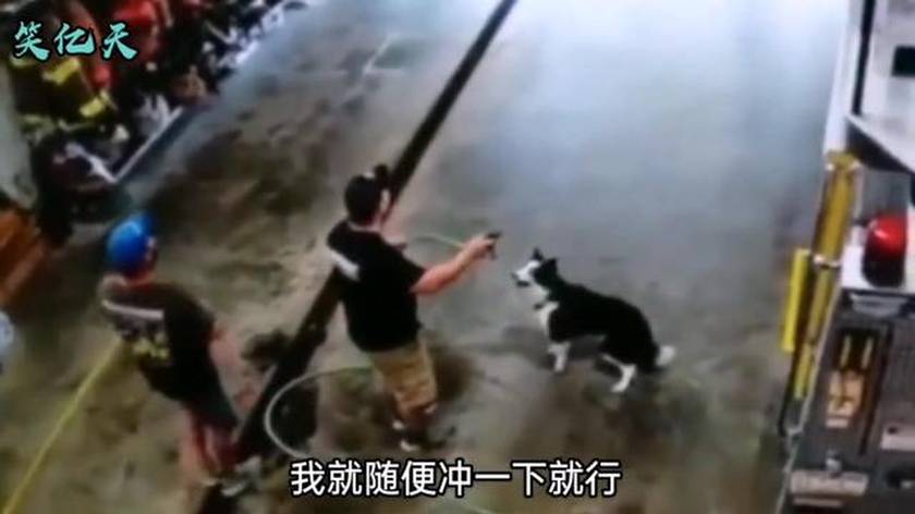搞笑配音：一个不会用遥控器，一个不会下象棋，这组合完美