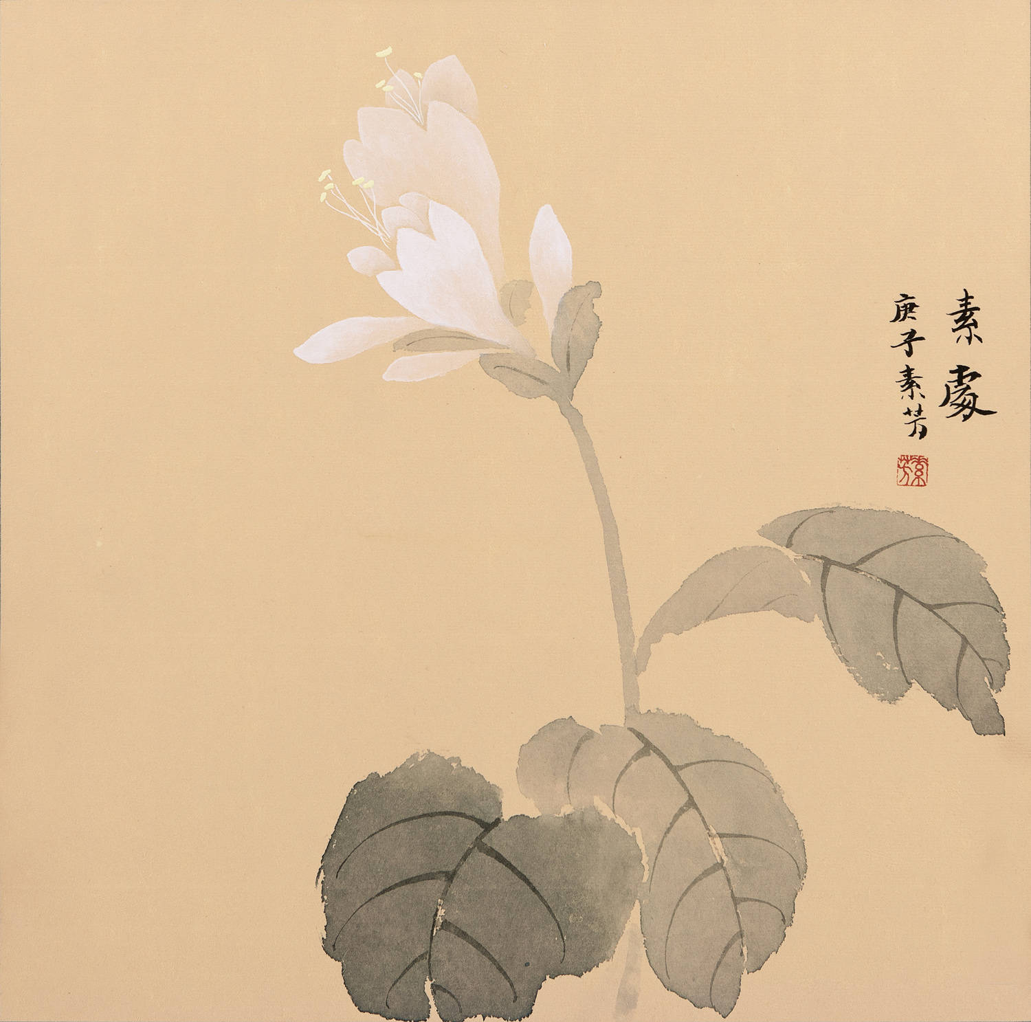 赵素芳老师:淡雅优美画作,艺术水平极高-搜狐大视野-搜狐新闻