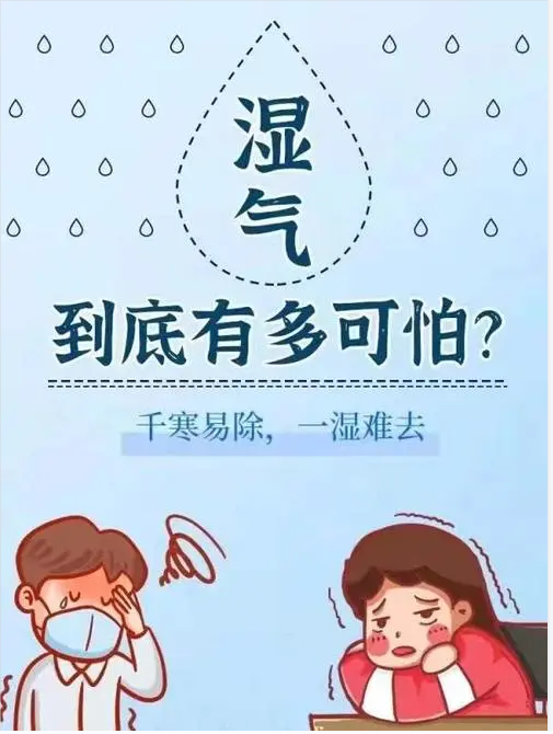 千寒易去,一湿难除,顽固的湿气是哪里来的?_影响_身体_生活