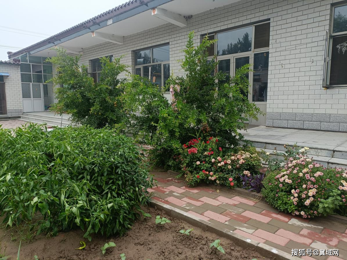 高阳县小王果庄镇妇联在于堤村开展走访观摩"美丽庭院"活动_组织_小院