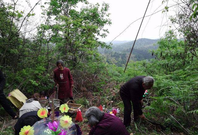 有什麼講究_女婿_老祖宗_家庭