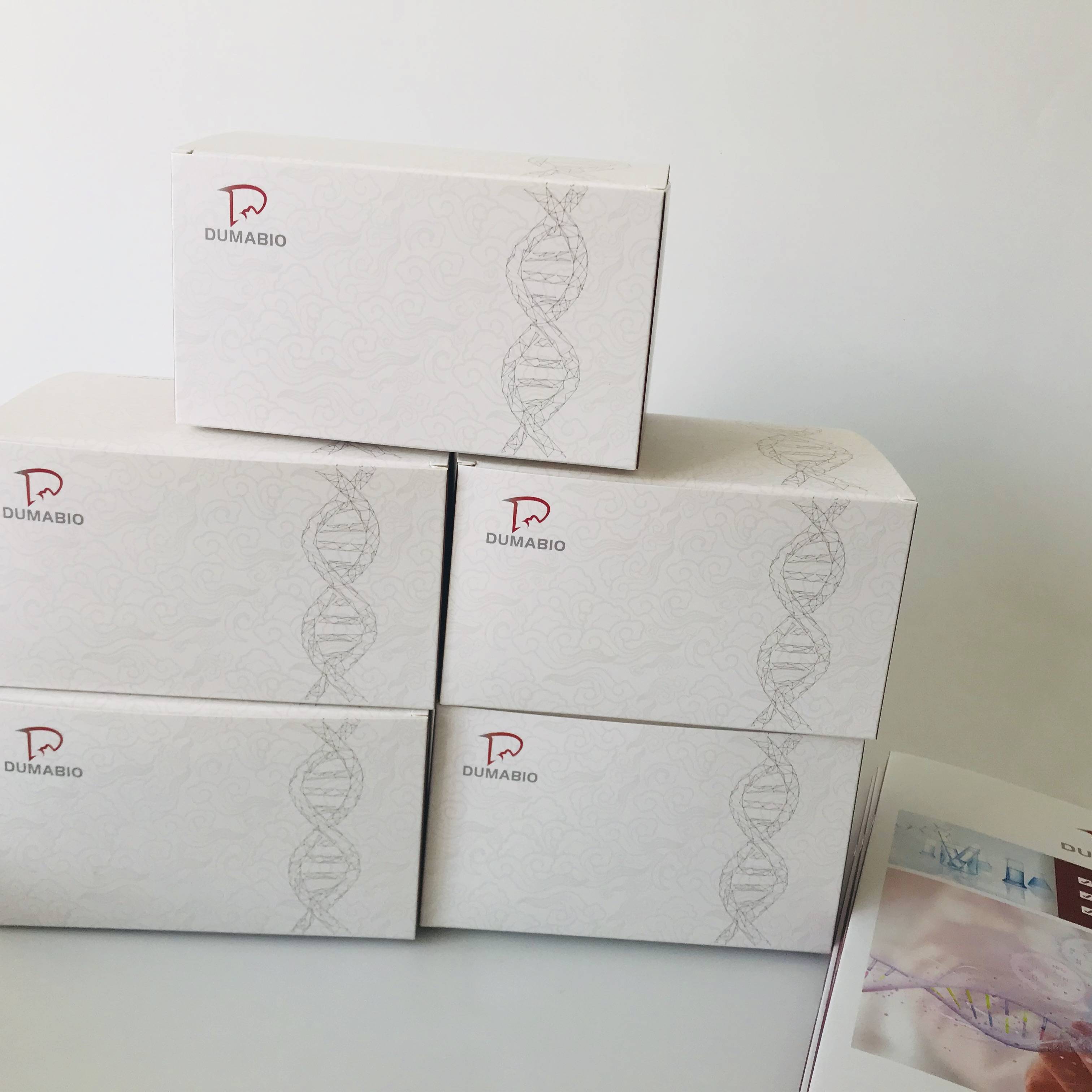 查找:l-α-磷脂酰胆碱@2024资料已更新_甘油_实验_检测