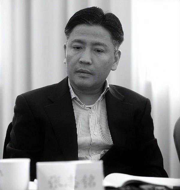 因长相被首富妹妹看上,逆袭后身家65亿_张志铭_国美电器_销售