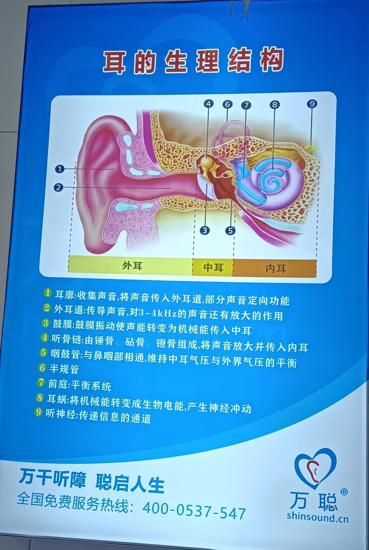 助听器内部结构图图片