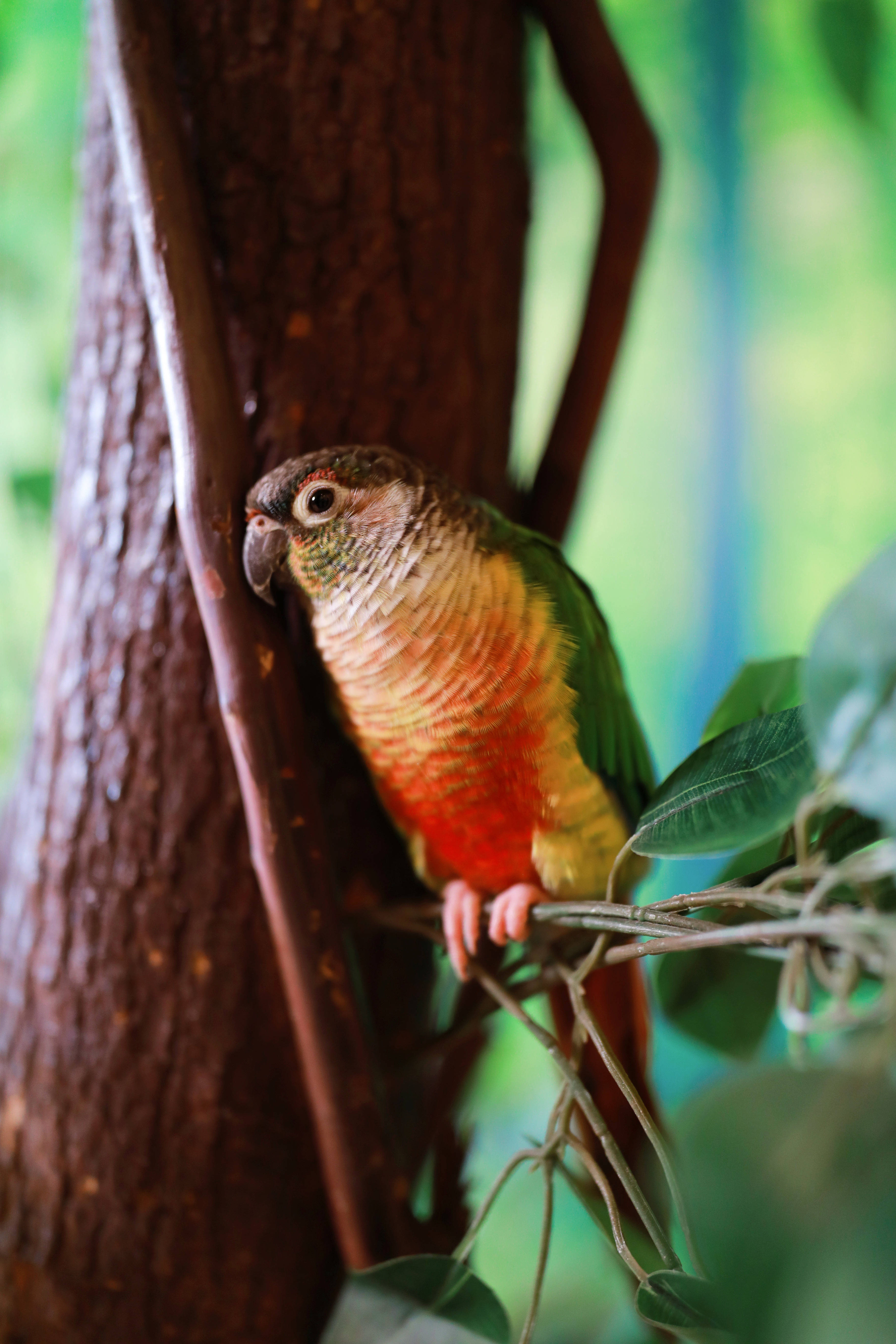 1月14日广州乐映文化sony广州艺联α俱乐部2023年度盛典_摄影_花地湾