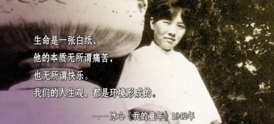 冰心去世后,孙子用红漆在她的墓碑上写8字辱骂,冰心做了什么?