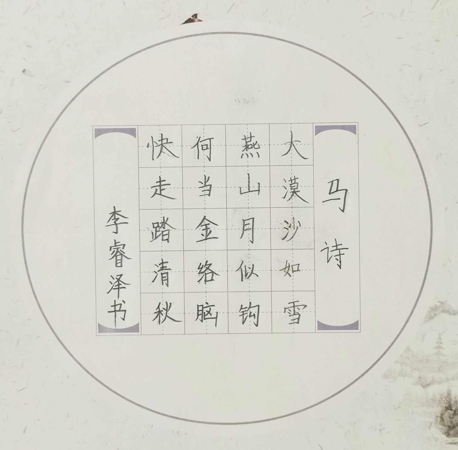 (1130)作者:姓名:张沐桐,性别:男,年龄:8岁,硬笔书法,陕西省西安市.