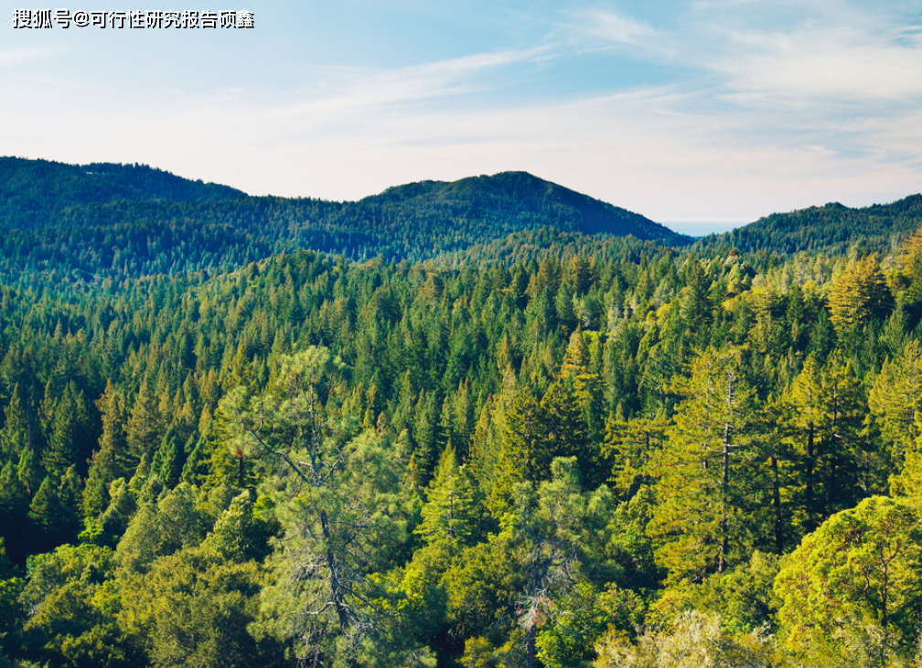 林業局報批使用林地可行性報告_項目_部門_用地