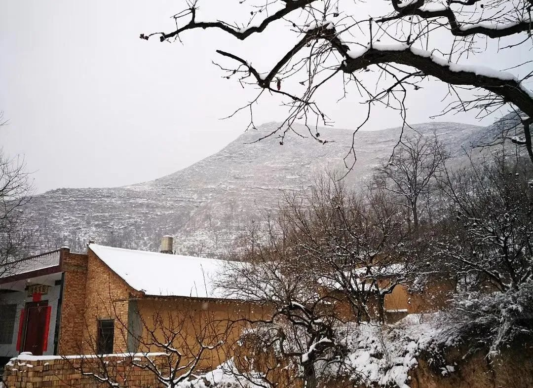 富平庄里道德讲堂公益协会:故乡情 | 富平虎头山的雪景