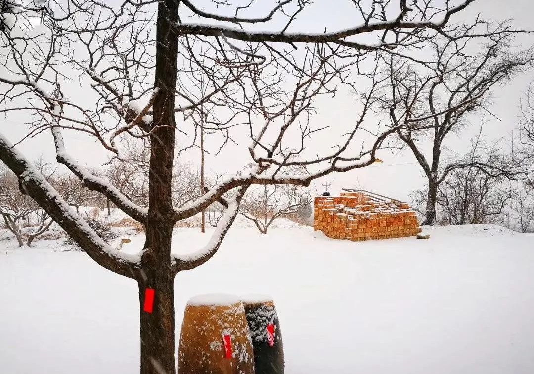 富平庄里道德讲堂公益协会:故乡情 | 富平虎头山的雪景