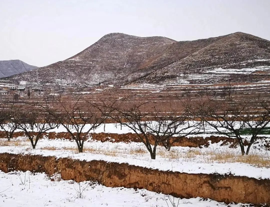 富平虎头山简介图片