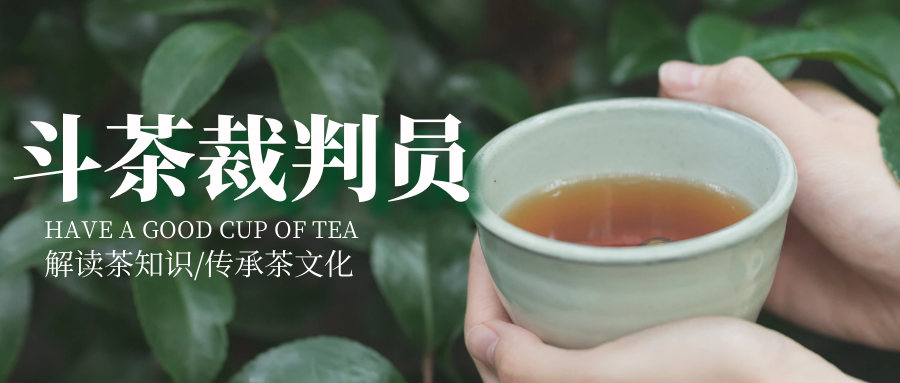 斗茶裁判员证书报考条件都有什么？考试流程？考试内容？考试难吗？