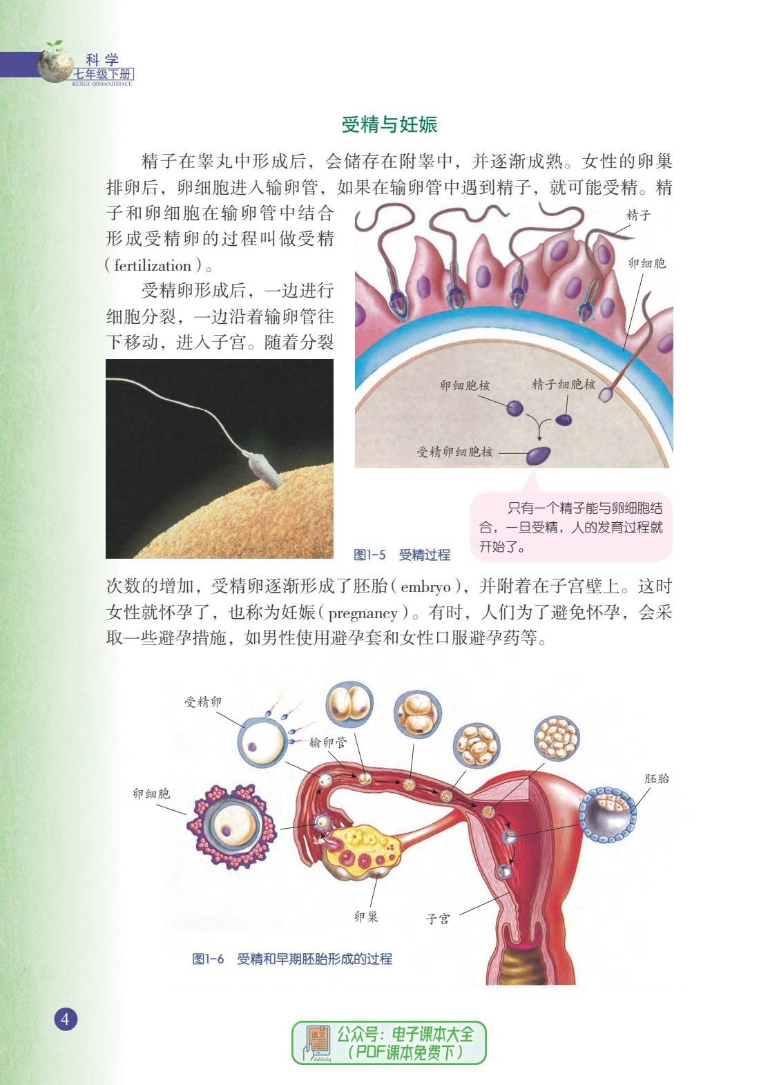 浙教版浙江版初中七年级下册科学电子课本pdf高清版教科书电子版2024