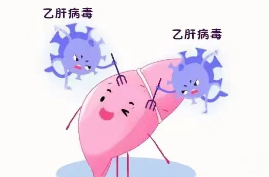 乙肝的主要传播途径是血液,精液 ,阴道分泌物 及人皮肤或者黏膜有创面