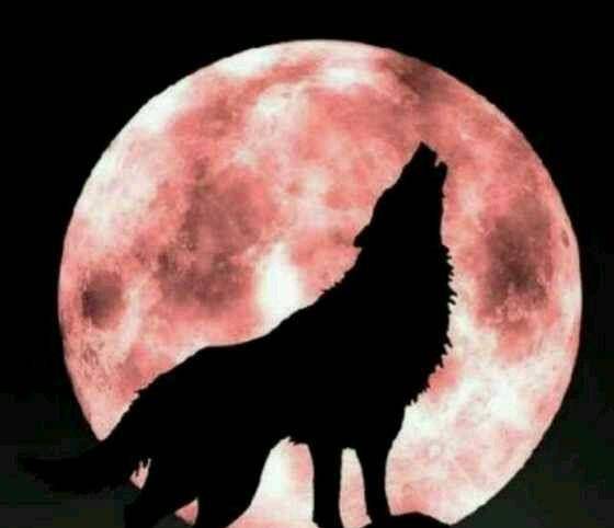 古法云"血月见,妖孽现",是否真的是天生异象,必有大事