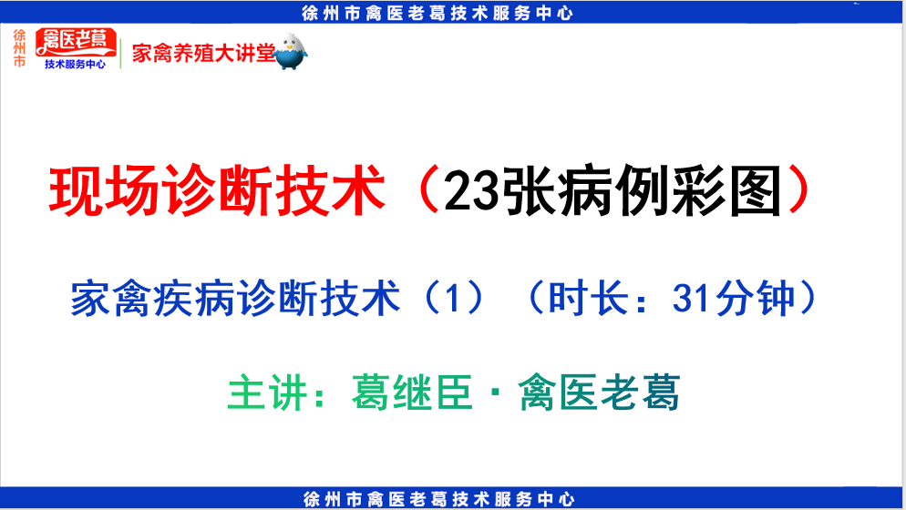 家禽疾病诊断技术教程禽病解剖鸡的解剖方法和步骤家禽内脏器官的解剖