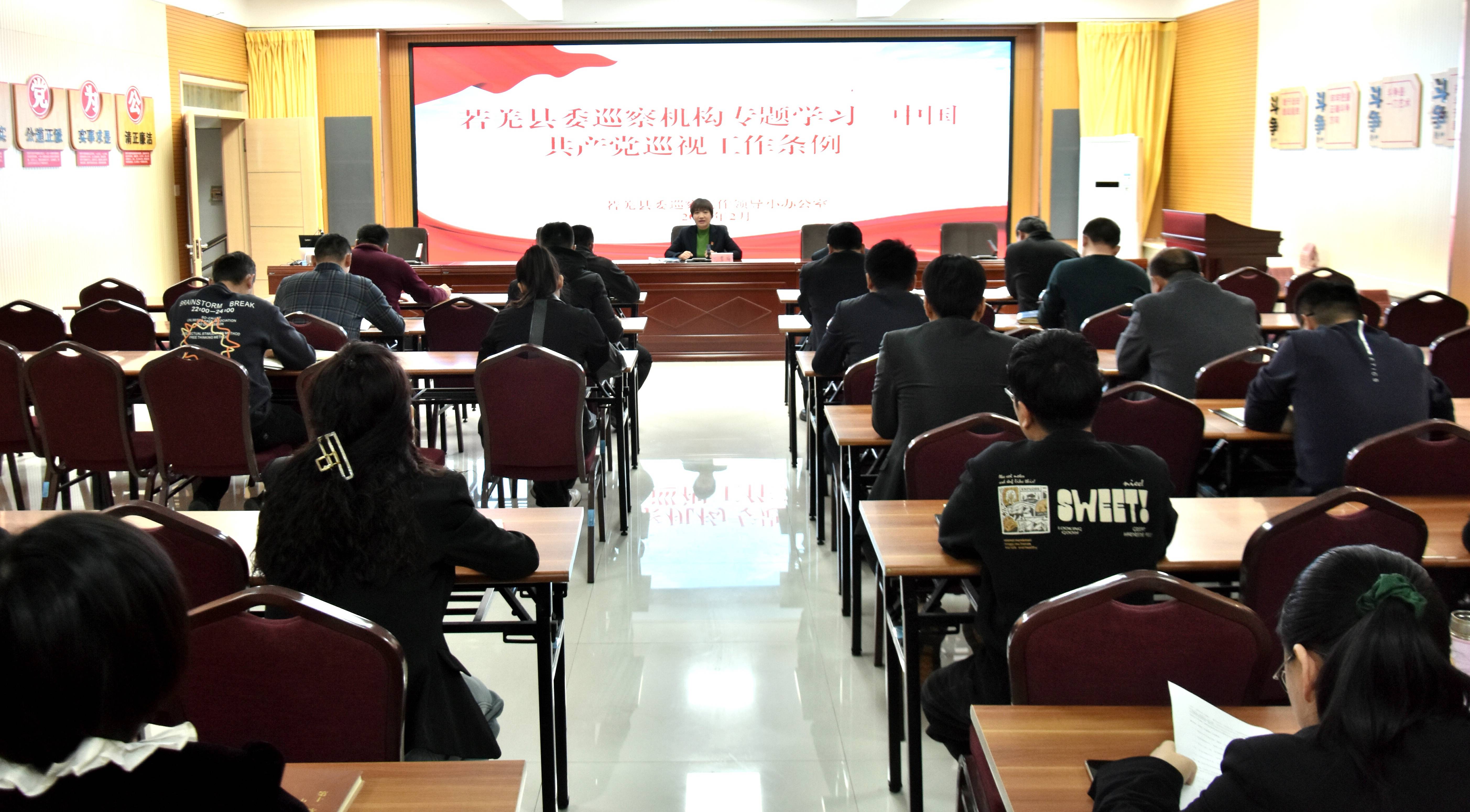 若羌:认真学习贯彻巡视条例 坚定不移深化政治巡察_工作_监督_内容