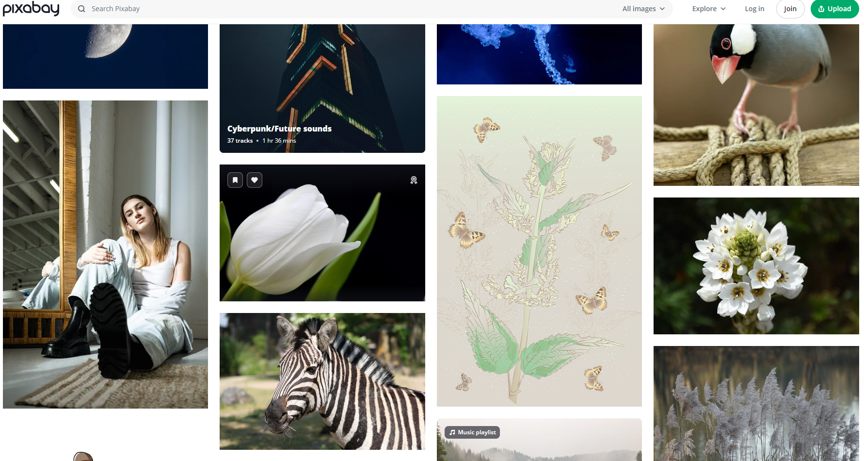 短视频素材的宝库:我来教大家去哪里找短视频素材_网站_video_pixabay