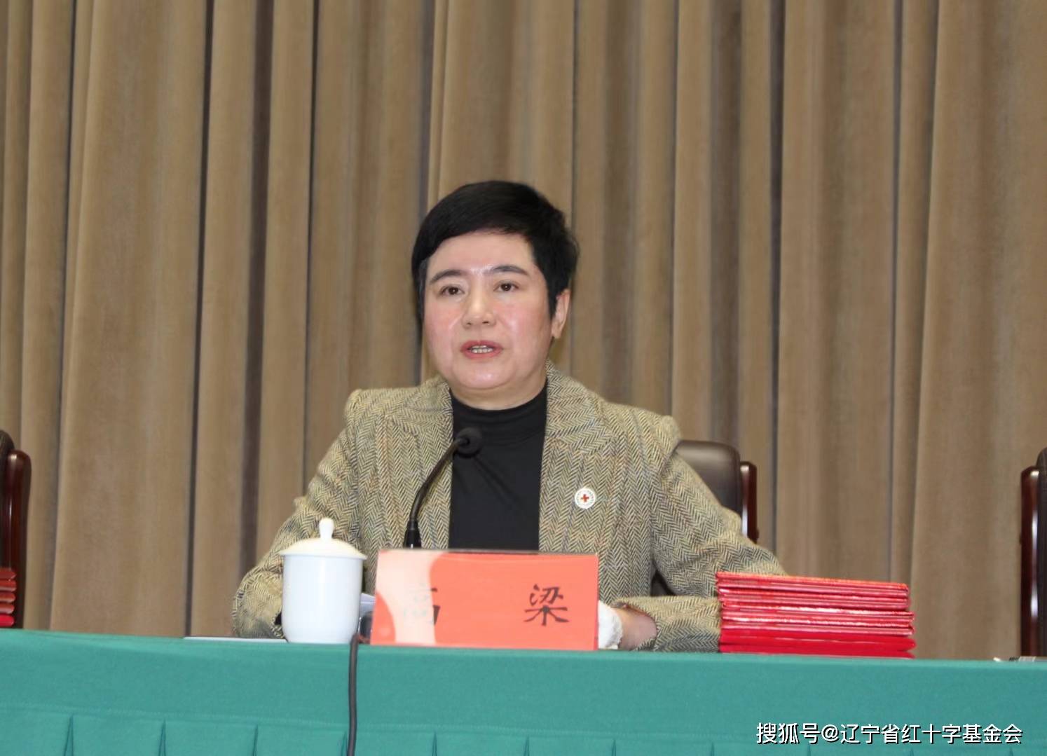 辽宁省红十字会召开第九届理事会第三次会议_工作_精神_发展