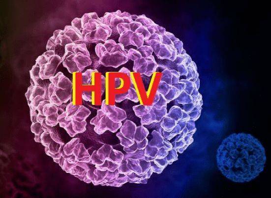 成都军盛hpv医院 体内有hpv