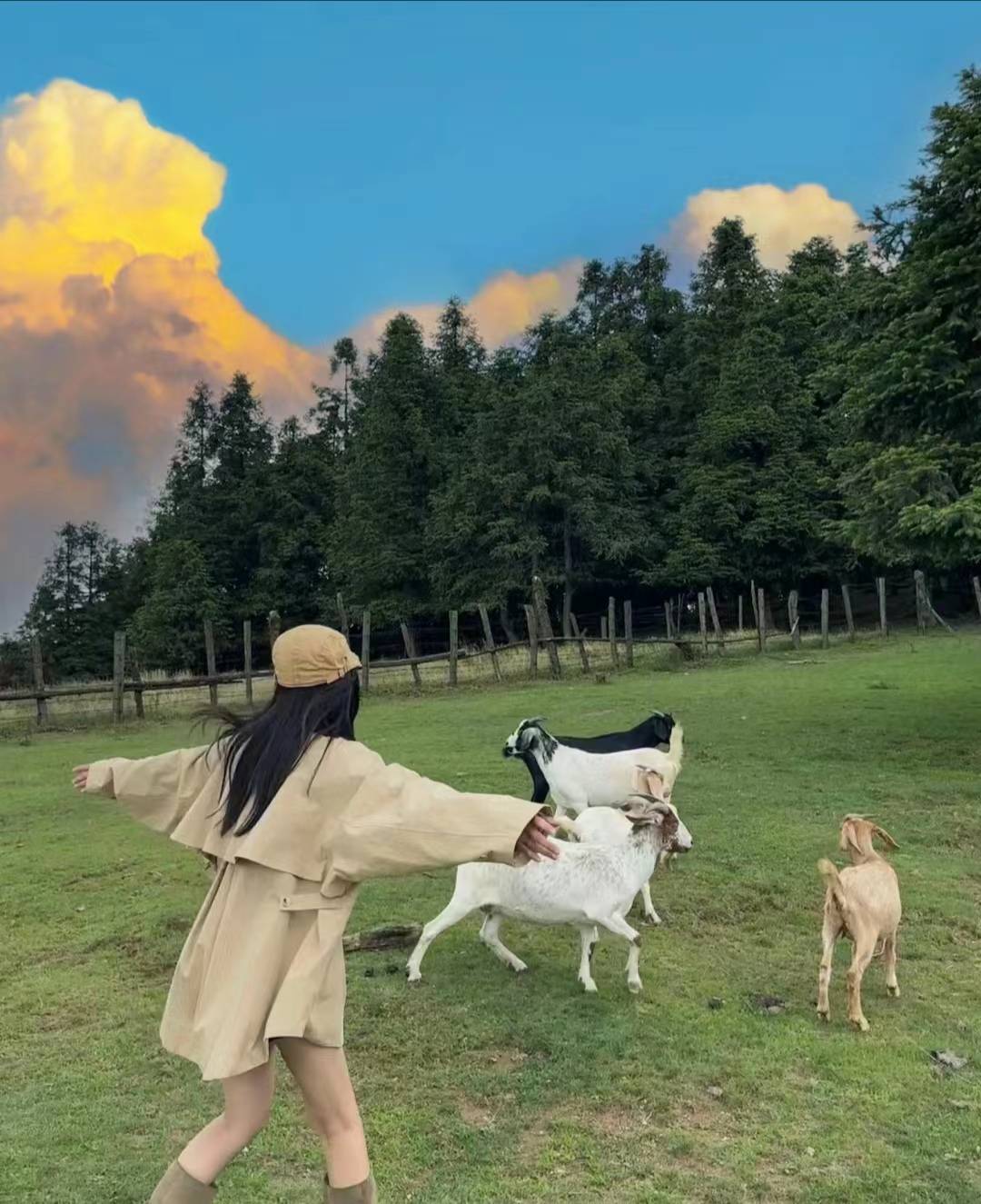 重庆需要多少费用非常感谢阿杰这次帮忙规划的行程,精华景点都玩遍了