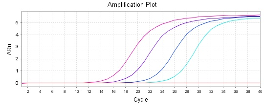 实时荧光定量pcr曲线图片