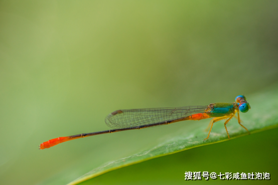 惊蛰养生注意事项