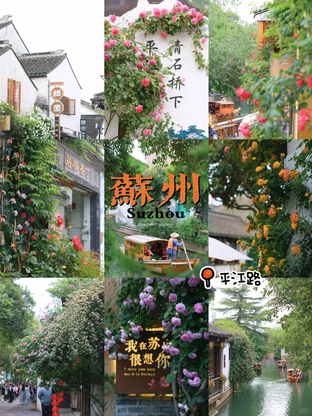 苏州花之盛宴苏州春日漫游苏州平江路5月免费赏花攻略