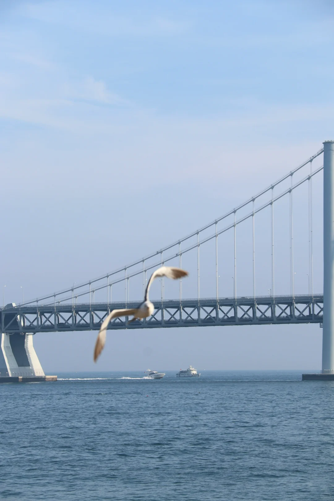 辽宁大连2日游最佳路线,赶紧收藏!小白可冲的大连2日游游玩攻略_东港_