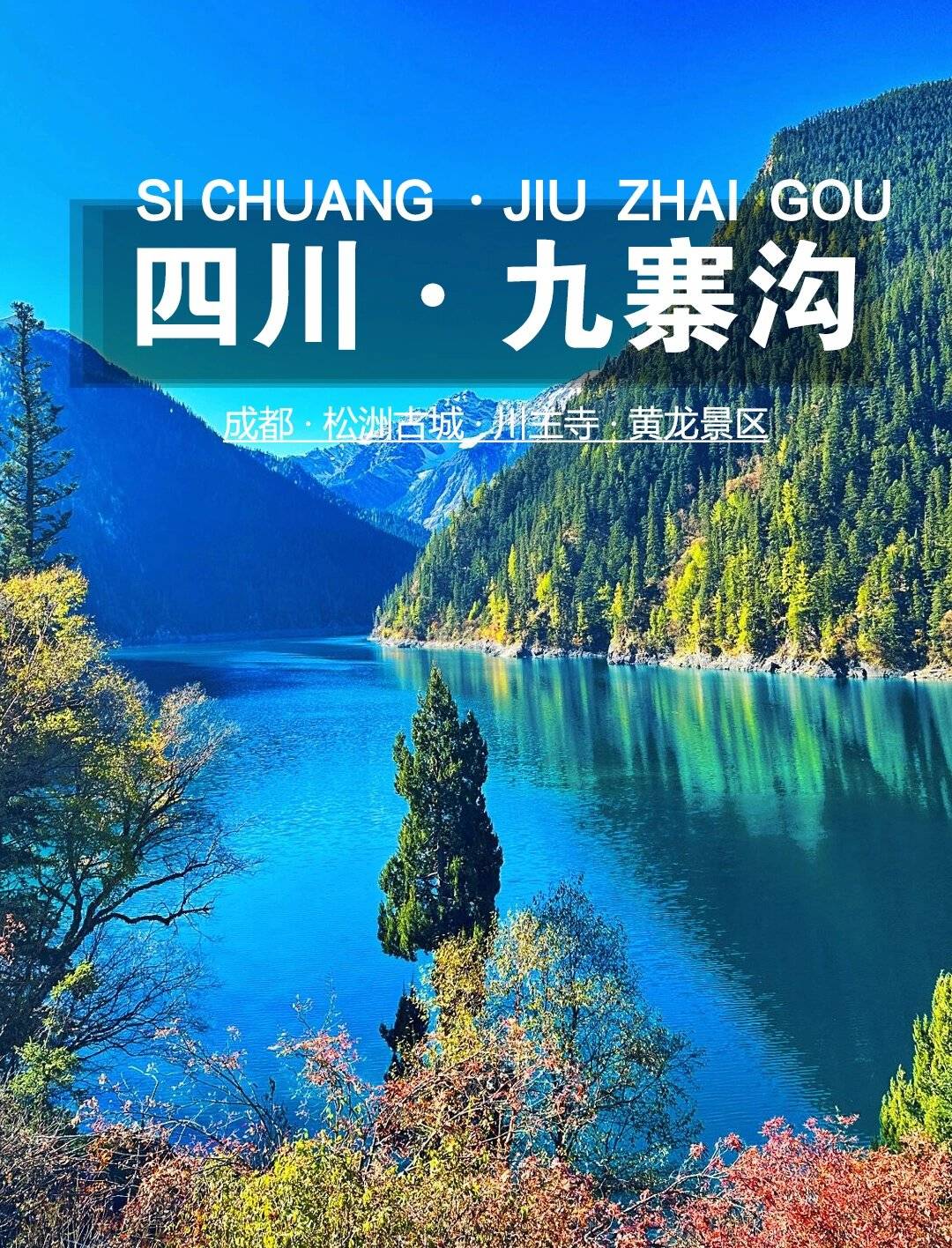 有什么景点吗?想去四川都江堰玩要多少钱?