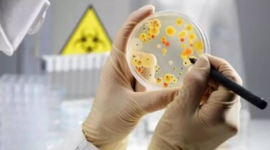 微生物检验员：怎么报、有什么用、就业方向、报考对象