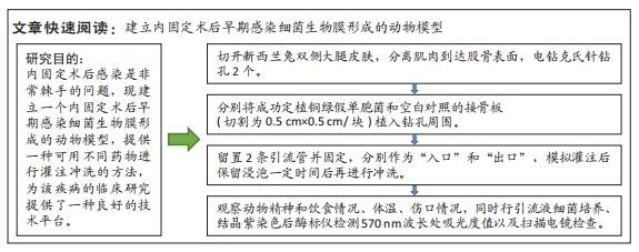 在有生命或無生命物體表面並被細菌胞外高分子包裹的有組織細菌集團