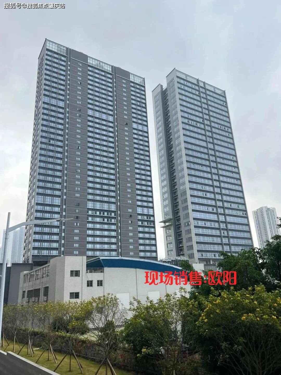 详细介绍星河盛境御府离永湖地铁站的距离折扣信息以及各种户型尺寸