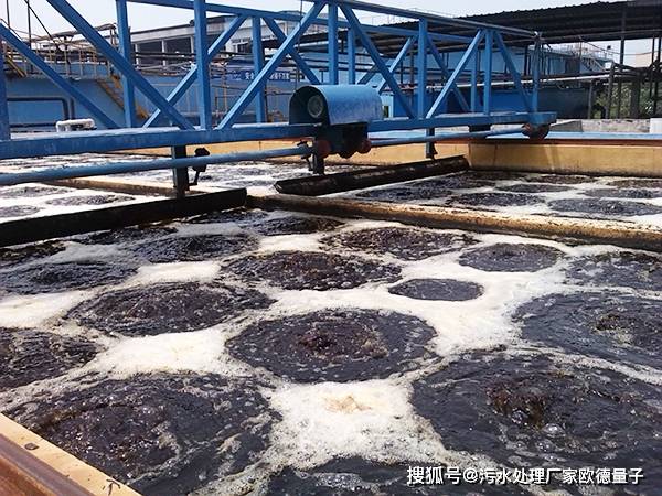 磁性离子交换树脂对生活污水的吸附再生效果_物质_应用