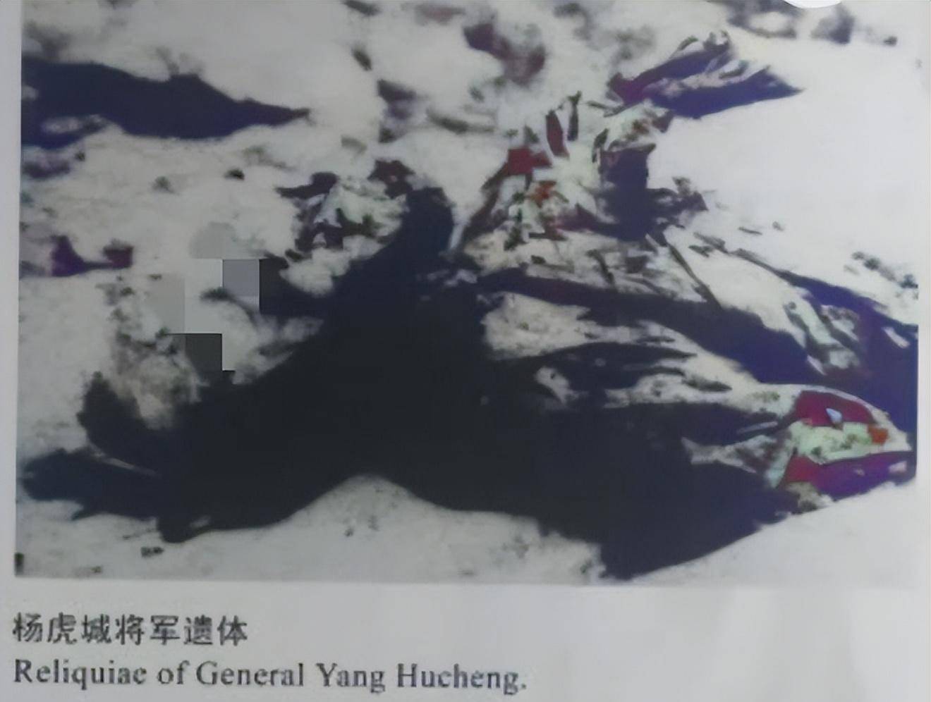 原创1949年杨虎城遗体挖掘的现场双手被反绑脸部被强酸腐蚀