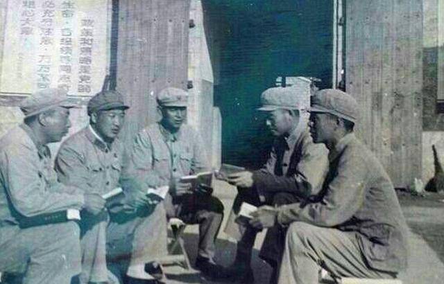 员说"给他们买8头毛驴吧",司令员被我说得哈哈大笑_舟山_海岛_李静