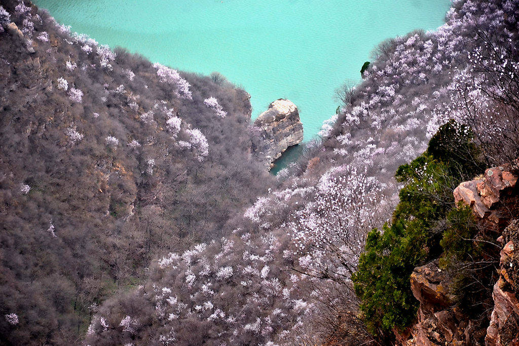 洛阳荆紫仙山第十届黄河桃花文化旅游节盛大开幕!_游客_新安_景区