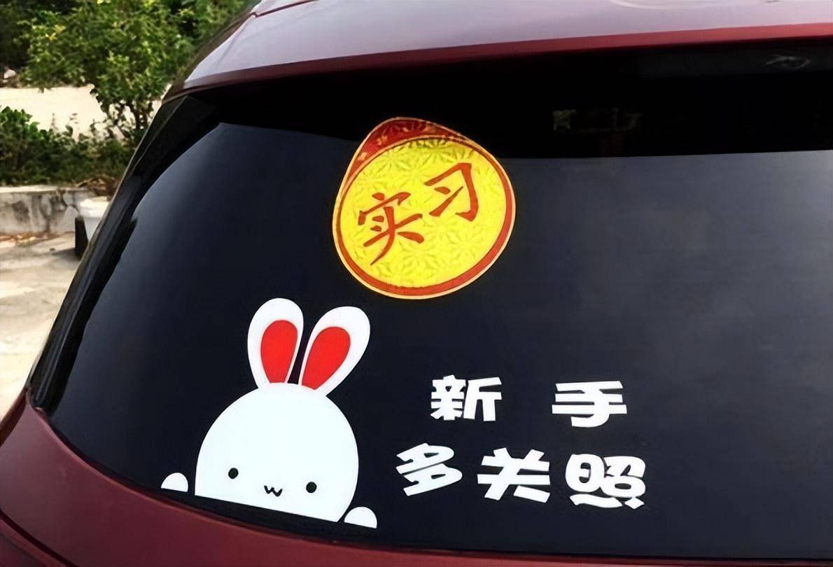在路上遇到新手司机怎么办?