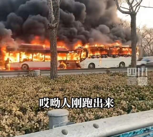 天津昨天发生的车祸图片