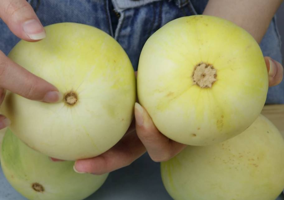 甜香瓜的种植时间和方法介绍