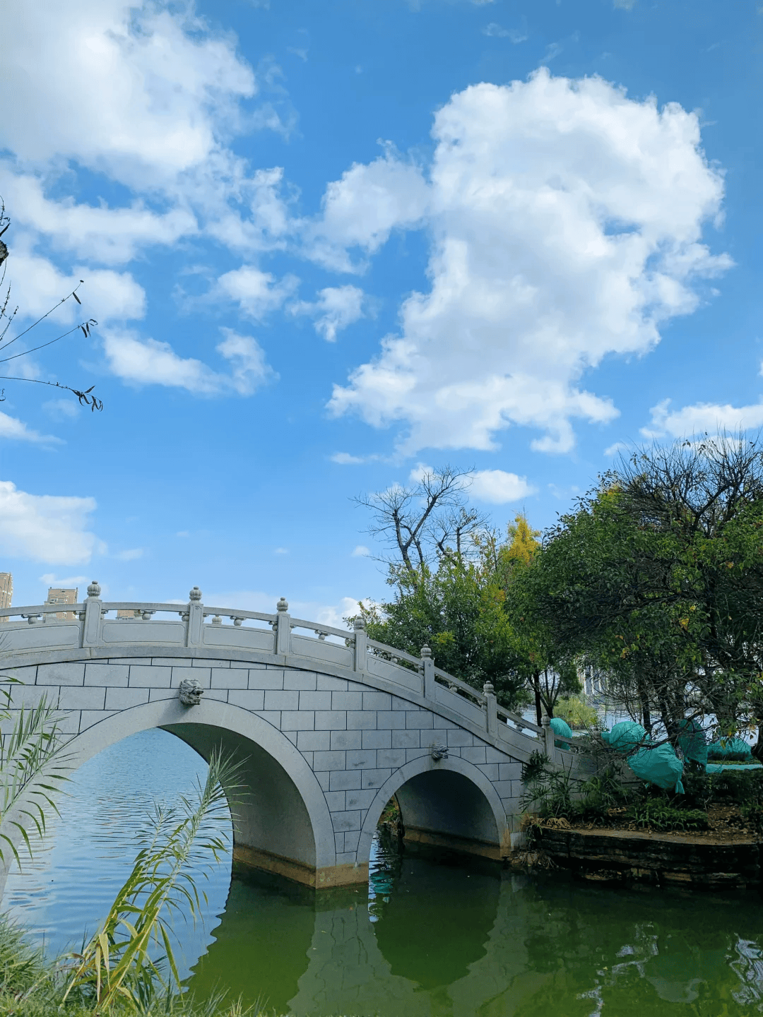 云南省弥勒市旅游景点图片