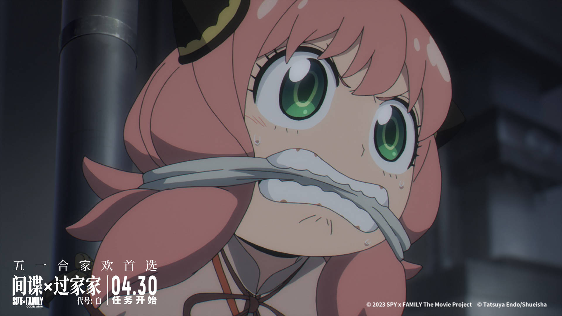 五一合家欢首选间谍过家家代号白新预告阿尼亚遇大危机