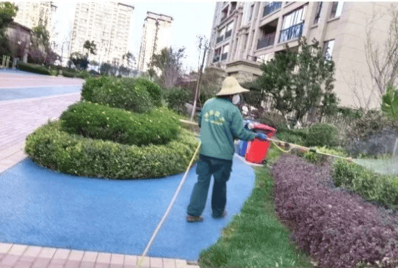 远洋物业怎么样绿化品质提升所遇皆美好