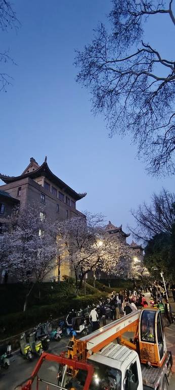 武汉大学樱花大爷 康强武汉_专业_沦陷_武昌