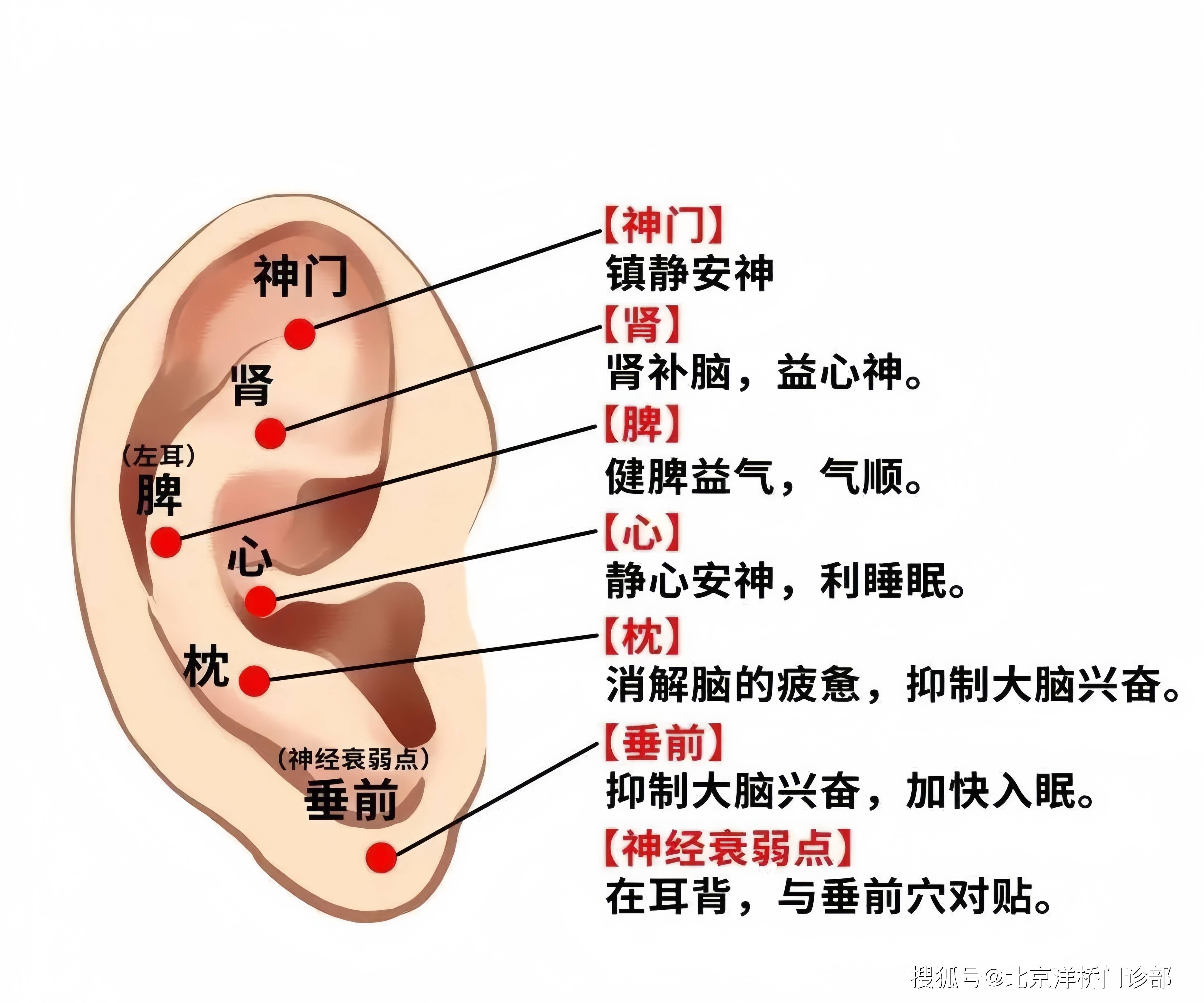 益肾宁心丸图片