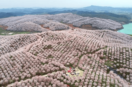 到四川山前赏红叶彩云飞去好，四川山前红叶旅游景点公交线路全攻略，看登山者是不是玩(图2)