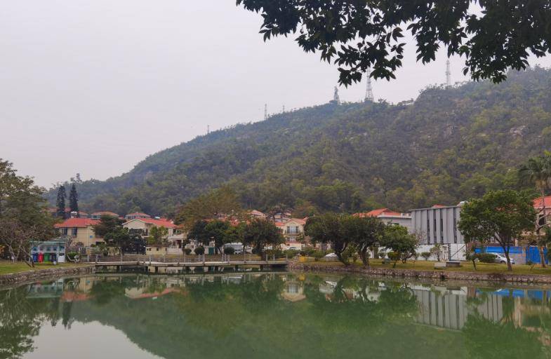 江西"严老咪":家贫辍学靠搞"暗杀"上位,垄断采砂20年赚50亿_严茂华